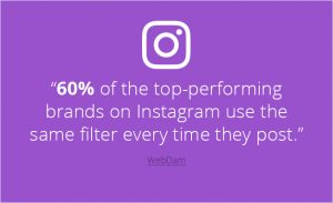IG Filters Rate