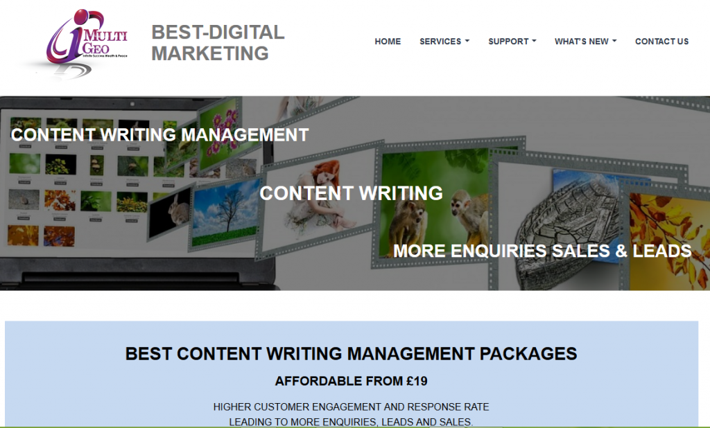 Content Writing Management