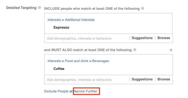 FB Narrowing down Target Audience