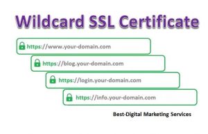 wildcard ssl certificate - asterisk