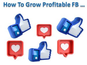 How To Grow Profitable Facebook