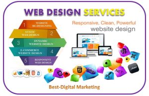 Web Design Services